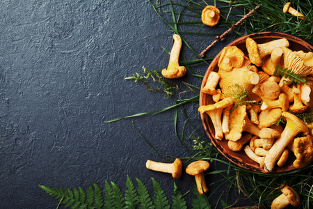Yellow mushrooms chanterelle (cantharellus cibarius) in vintage plate with forest plants on dark kitchen table top view. Copy space for text.の写真素材