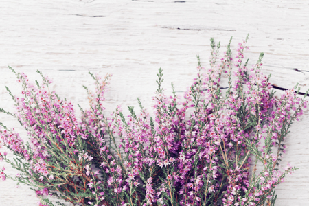 Bunch of heather flower (calluna vulgaris, erica, ling) on shabby wooden table top view. Pastel greeting card in vintage style.の写真素材