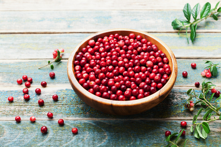 Fresh cowberry (lingonberry, partridgeberry, foxberry) in wooden bowl on rustic vintage table.の写真素材