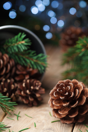 Small pine cone on vintage wooden background.の写真素材