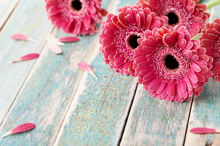 Deep color bouquet from beautiful gerbera daisy flowers on vintage wooden background. Greeting card for mother or womans day.
の写真素材