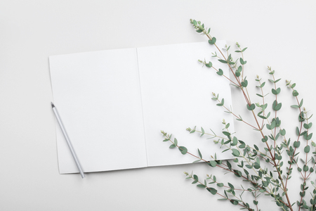 Open empty notebook and eucalyptus leaf on gray table from above. Minimalistic working desk. Flat lay styling.の写真素材