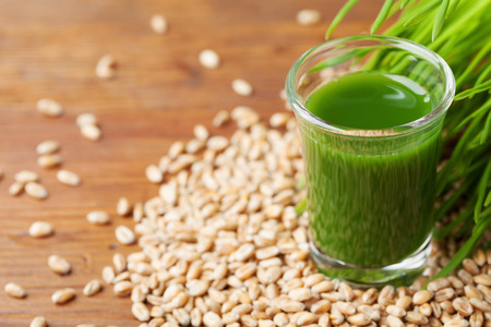 Green wheat grass juice. Organic and dietary morning drink. Superfood concept.の写真素材