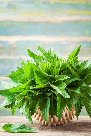 Young nettle leaves in basket on wooden rustic background, stinging nettles, urtica.の写真素材
