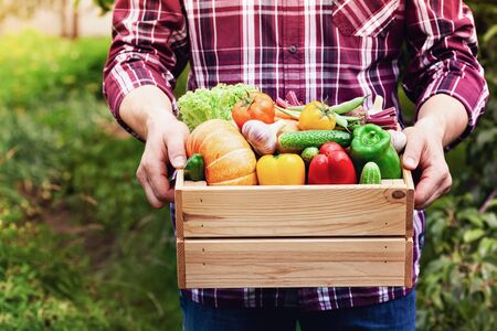 Farmer holds in hands wooden box with autumn crop of organic vegetables against backyard background.の写真素材