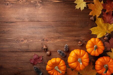 Autumn Thanksgiving background. Pumpkins, acorns and leaves on rustic table top view.の写真素材