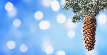 Fir cone hanging on snow covered fir branches against blue bokeh background. Winter card.