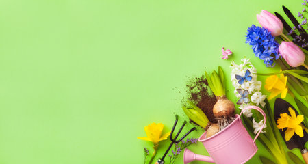 Beautiful springtime background with gardening tools, colorful spring flowers and butterflies. Top...