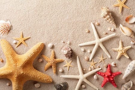 Summer travel background from beach sand with starfish and seashell. Top view.