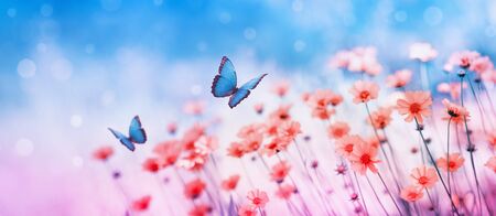 Beautiful flower field and flying butterflies on blue sky background. Colorful toning of amazing nature landscape with wild plants and insects.の写真素材