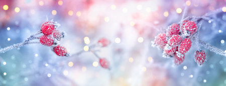 Nature landscape or scene. Winter background with frozen plants, red berries in snow.