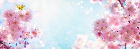 Dreamy pink cherry blossoming branches against blue sky in sunlight. Nature spring background from...