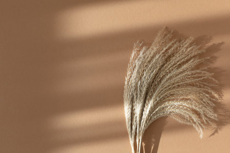 Dry pampas grass on beige background top view. Floral minimal home interior design concept in boho...