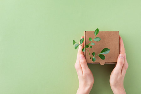 Woman hands holding cardbox from natural recyclable materials with green leaves sprout from above. Responsible consumption, eco friendly packaging, zero waste concept.の写真素材