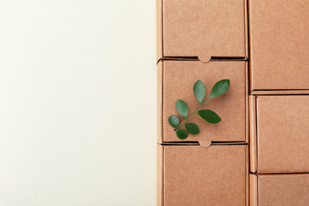 Cardboard boxes from natural recyclable materials with green leaves sprout top view. Responsible consumption, eco friendly packaging, zero waste concept.の写真素材