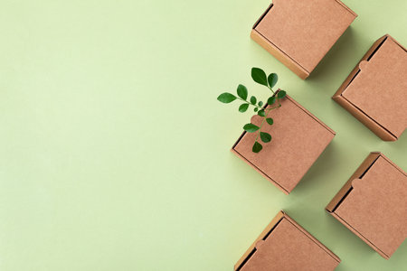 Cardboard boxes from natural recyclable materials with green leaves sprout top view. Responsible consumption, eco friendly packaging, zero waste concept.の写真素材