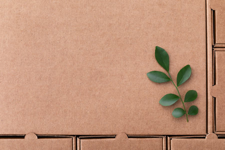 Cardboard box from recyclable organic materials with green leaves sprout top view. Eco friendly packaging, zero waste and plastic free concept.の写真素材