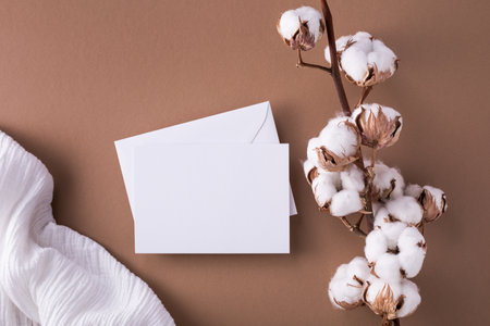 Cotton branch with empty blank paper sheet card top view. Minimal composition from natural cotton flowers for design, blogging or branding in flat lay style.の写真素材