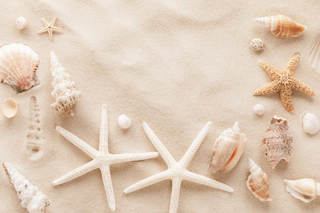 White and beige exotic seashells and starfish on sand with dunes as blank textured background