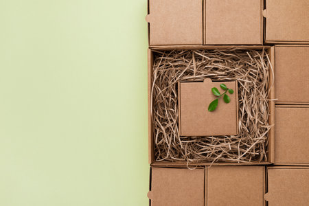 Eco concept with green leaves sprout growing in cardboard box from craft paper top view. Plastic free, zero waste, sustainable lifestyle and renewable energy.の写真素材