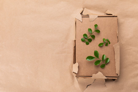 Concept with green leaves sprout growing from cardboard box in craft paper top view. Plastic free, zero waste, sustainable lifestyle and eco packing concept.の写真素材