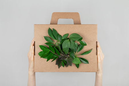 Eco cardboard box from natural recyclable materials with green leaves in woman hands. Eco friendly...