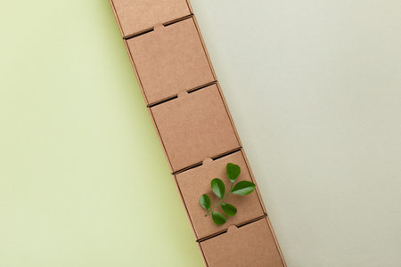 Sprout of grean leaves on recycled cardboard boxes top view. Eco, saving energy, zero waste, plastic...