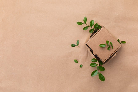 Concept with green leaves sprout growing from cardboard box in craft paper top view. Plastic free, zero waste, sustainable lifestyle and eco packing concept.の写真素材