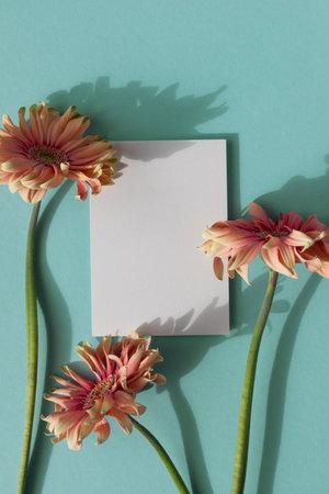 Coral gerbera flowers and white empty card with aesthetic sunlight shadows top view. Floral minimalist composition in flat lay styleの写真素材