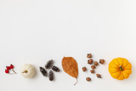 Autumn Thanksgiving holiday background from pumpkins, colorful dried leaves and fall decorations top view.の写真素材