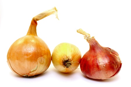 Beautiful onion on a white backgroundの写真素材