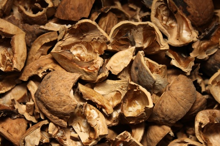 The structure of the broken walnuts closeupの写真素材