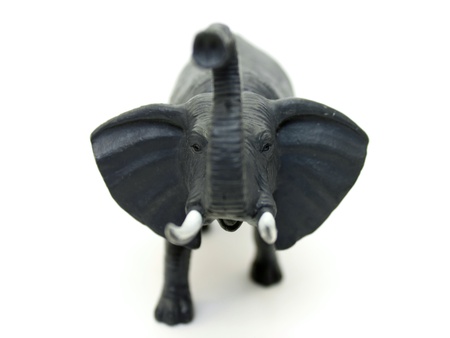 A toy elephant on white backgroundの写真素材