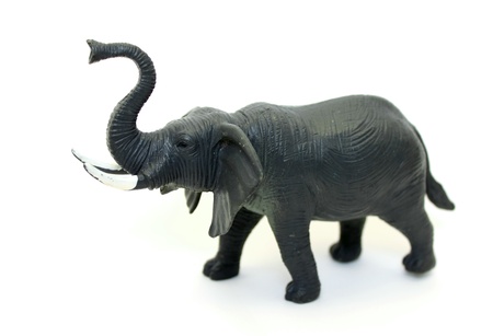A toy elephant on white backgroundの写真素材