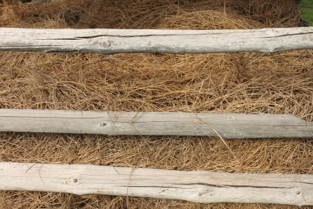 Hay backgroundの写真素材