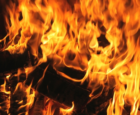 Burning fire close-up, fireplaceの写真素材