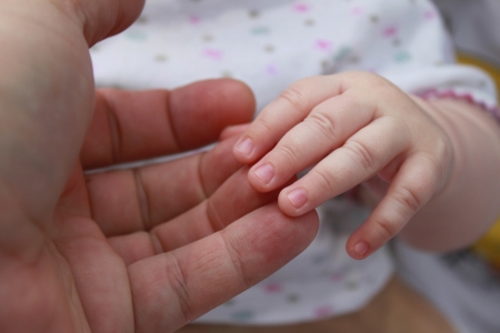 The hand of the child holds a hand of the adultの写真素材
