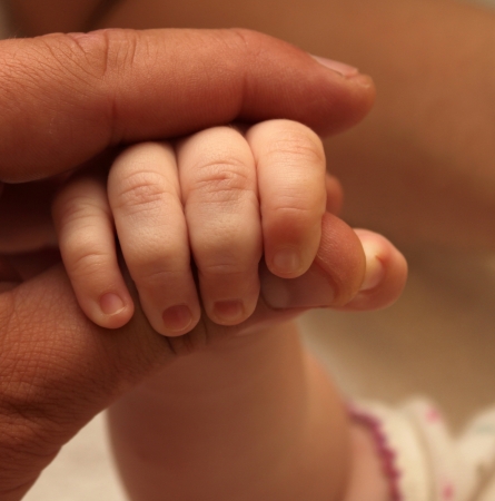 The hand of the child holds a hand of the adult close-upの写真素材