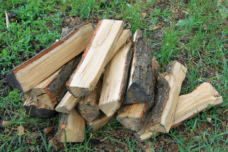 Stack of chopped firewood on natural green background close-up