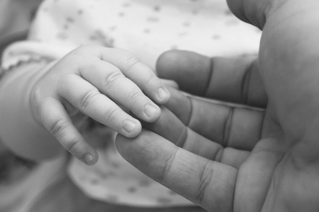 small child's hand in hand of adult parent closeup / black and white photo in retro styleの写真素材