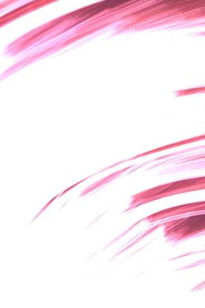 Abstract soft blurred background with elements of red and white colorsの写真素材