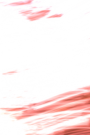 Abstract soft blurred background with elements of red and white colorsの写真素材