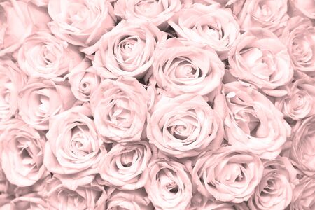 Natural floral background with bouquet of pink rosesの写真素材