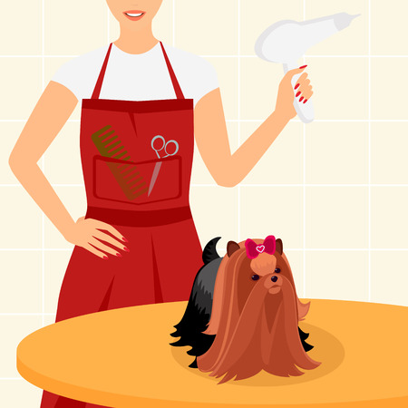 Beautiful yorkshire terrier is sitting on the table with a hairdresserのイラスト素材