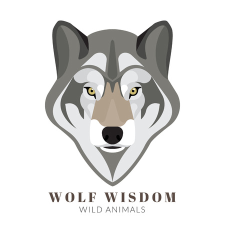 Graphic design of cute grey wolf head. Text outlinedのイラスト素材