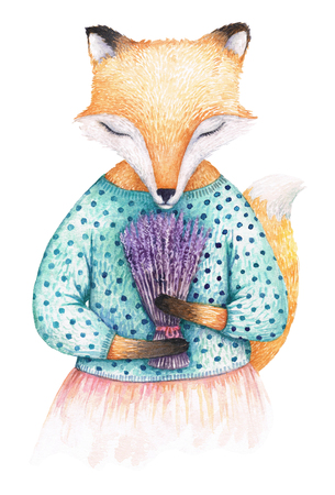 A fox breathing lavender bouquet's scent. Watercolor illustration isolated on perfectly white background. Can be printed as a birthday or a greeting card.の写真素材