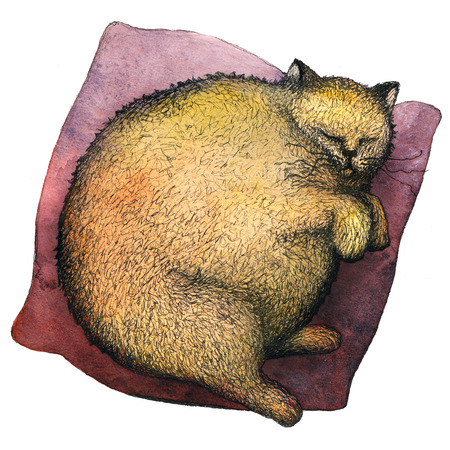 A fat ginger cat sleeping on a pillow. Drawn by ink pen and watercolor on paper.の写真素材