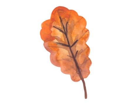 Water color autumn colored leaves . High quality photoの写真素材