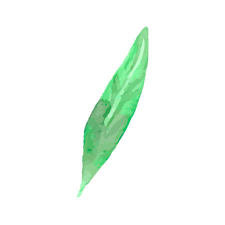 Watercolor peach leaves. Hand-drawn vector green leaf set. Vector illustrationのイラスト素材