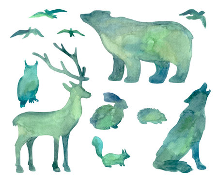 Forest watercolor animals. Hand-drawn wild life. High quality photoの写真素材
